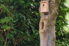 DSC05786_edit2-scaled