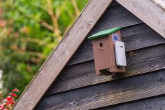 DSC05793_edit2-scaled